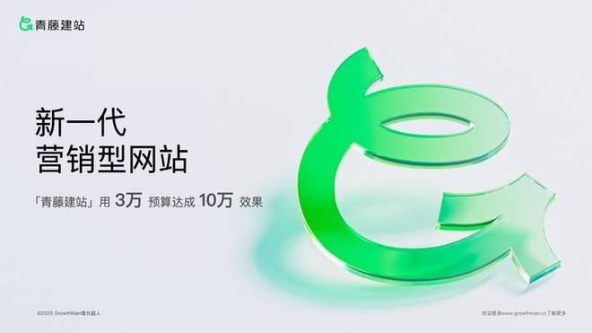 荐：十大优质口碑高端品牌质感网站建设公司实测口碑榜PP电子模拟器2025 年中国高端网站建设公司推(图6)